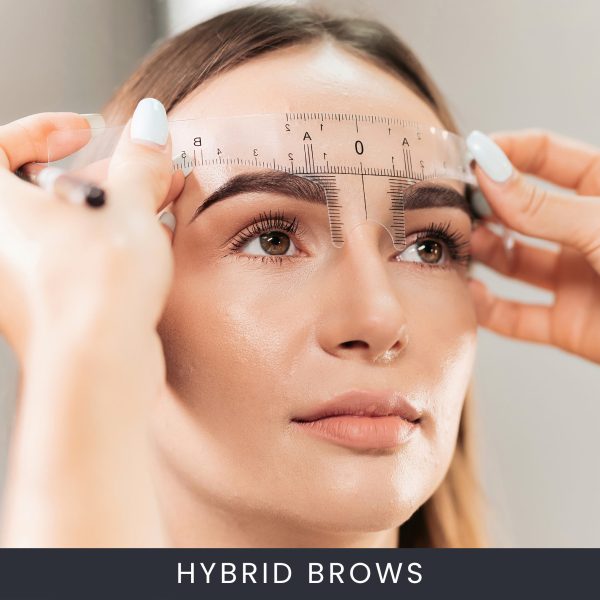 Online Hybrid Brows Course