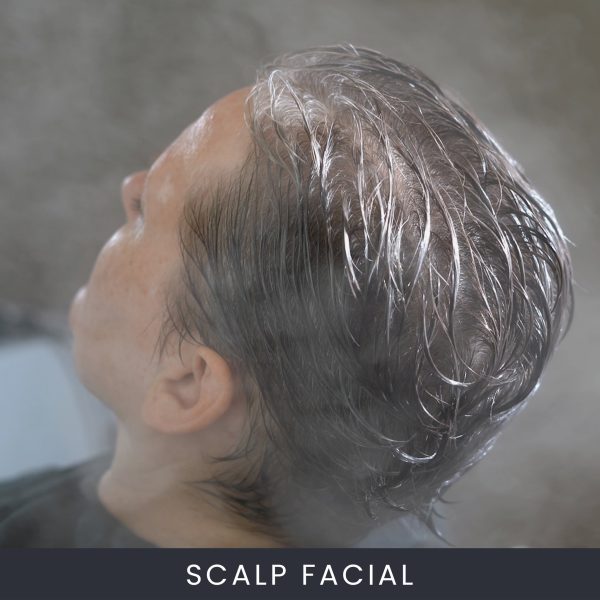 Online Scalp Facial ™ Course Online Scalp Facial ™ Course