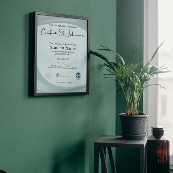 hard copy certifricate Hard Copy Certificate